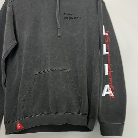 LLIA COLLECTION Psycho and you love it grey hooded sweatshirt small adult - Picture 5 of 10